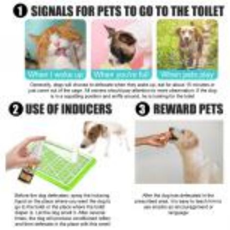 Pet Toilet Training Spray for Cats & Dogs