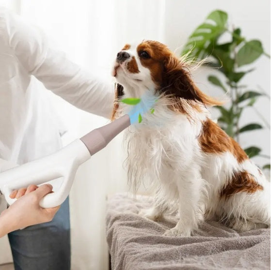 Dog & Cat Hair Blower with Negative Ion & Adjustable Temperature