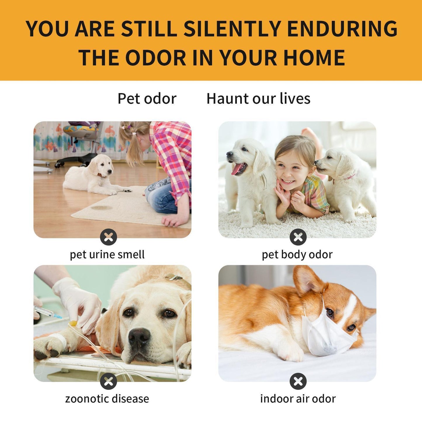 Yegbong Pet Fabric Deodorizer Spray – Long-lasting Indoor Pet Odor & Air Freshener