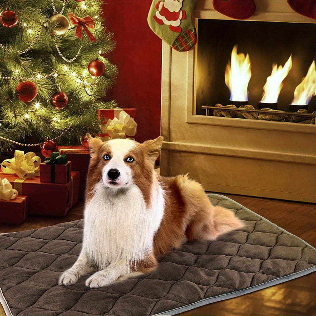 Self-Heating Pet Mat for Dogs & Cats