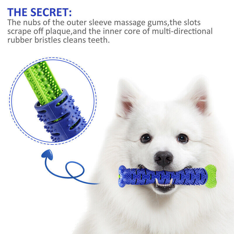 Dog Toothbrush TPR Chew Toy – Durable Molar Brushing Stick for Teeth Cleaning