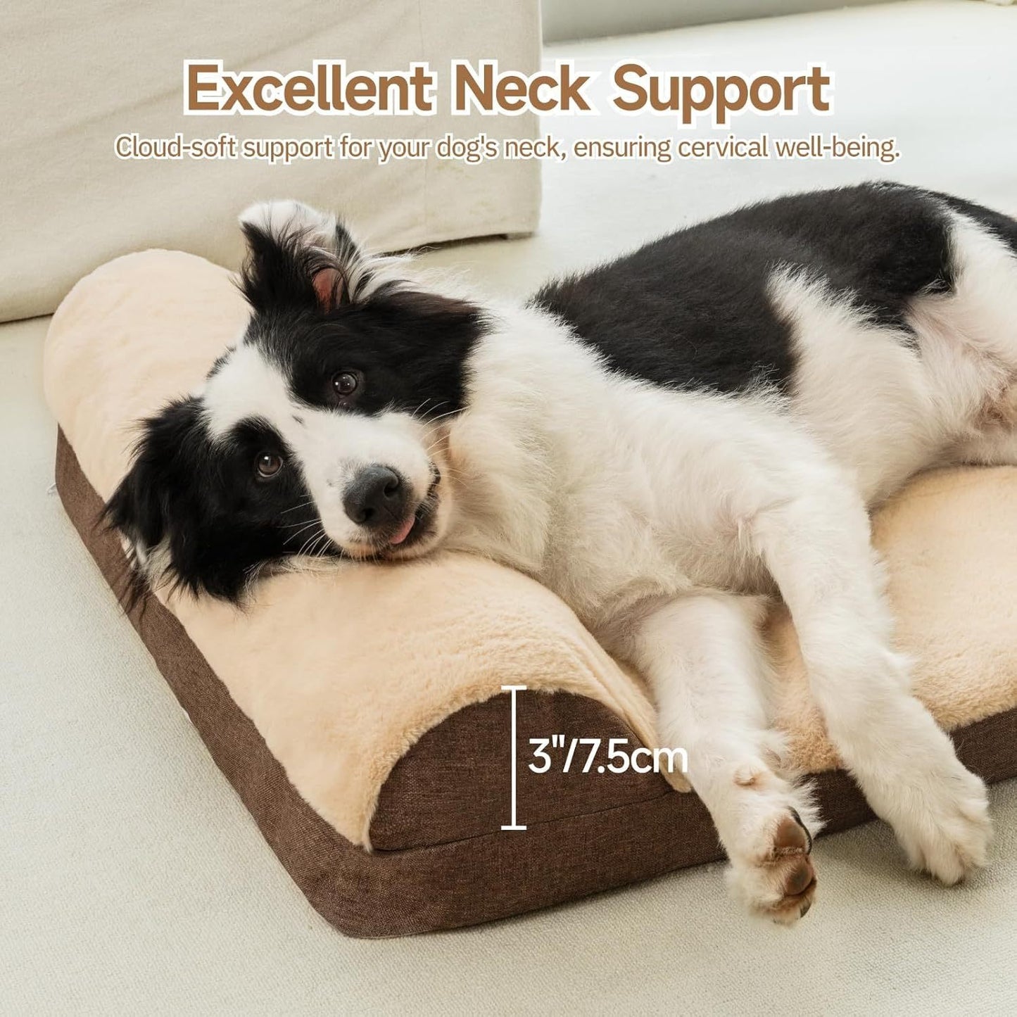 Orthopedic Dog Bed For Medium Dogs