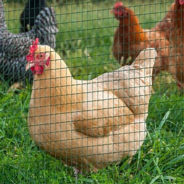Mesh Fence Steel Wire