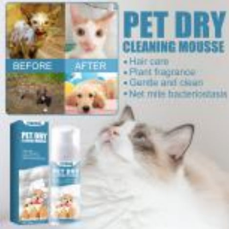 No-Wash Odor Control & Hair Care for Kittens & Dogs
