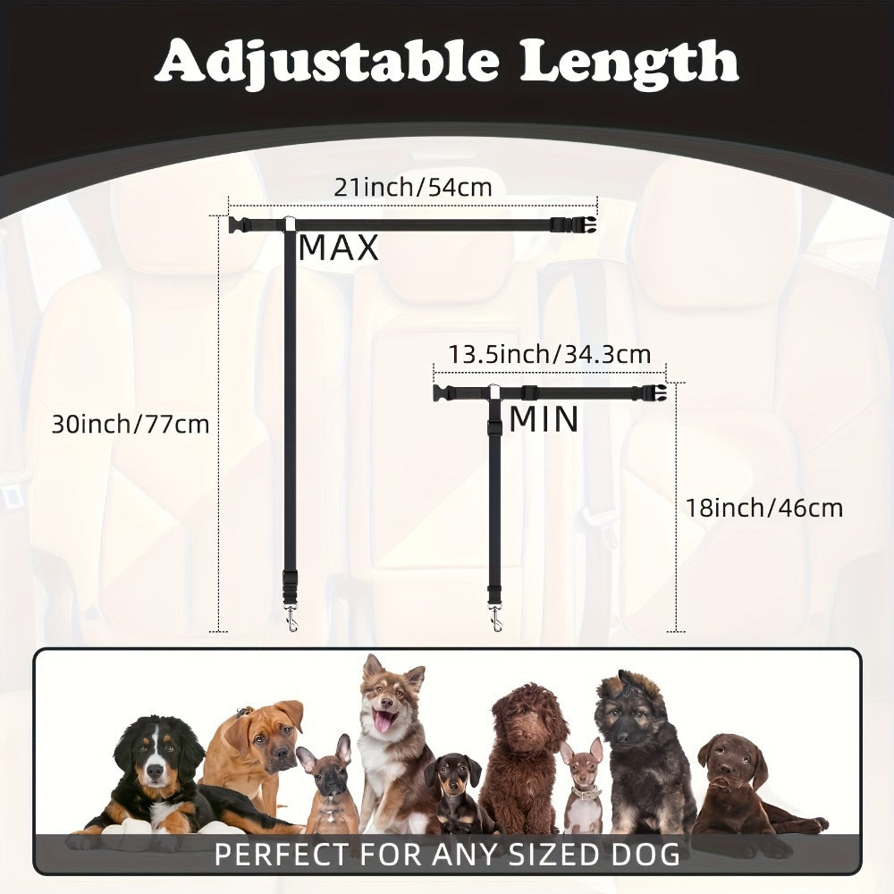 2-Piece Dog Leash Set – Wear-Resistant & Skin-Friendly
