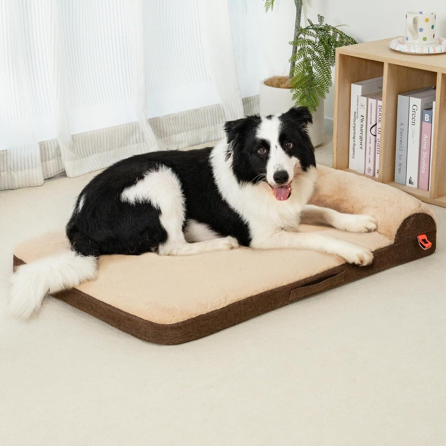 Orthopedic Dog Bed For Medium Dogs