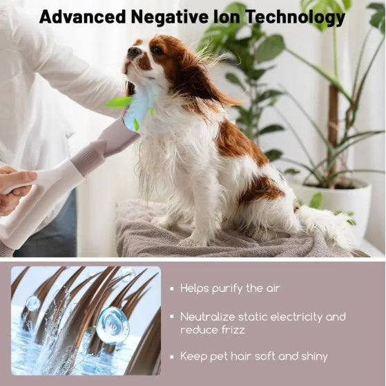 Dog & Cat Hair Blower with Negative Ion & Adjustable Temperature