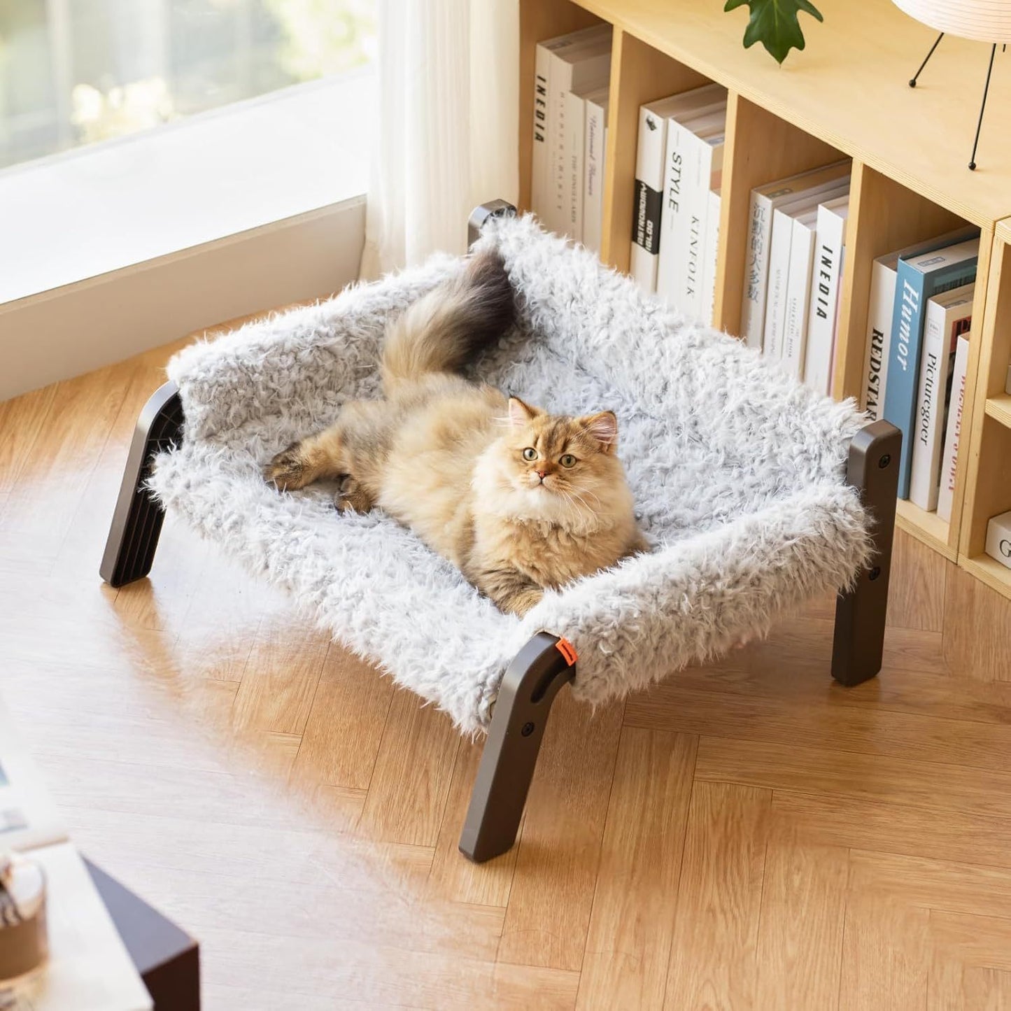 Elevated Pet Bed