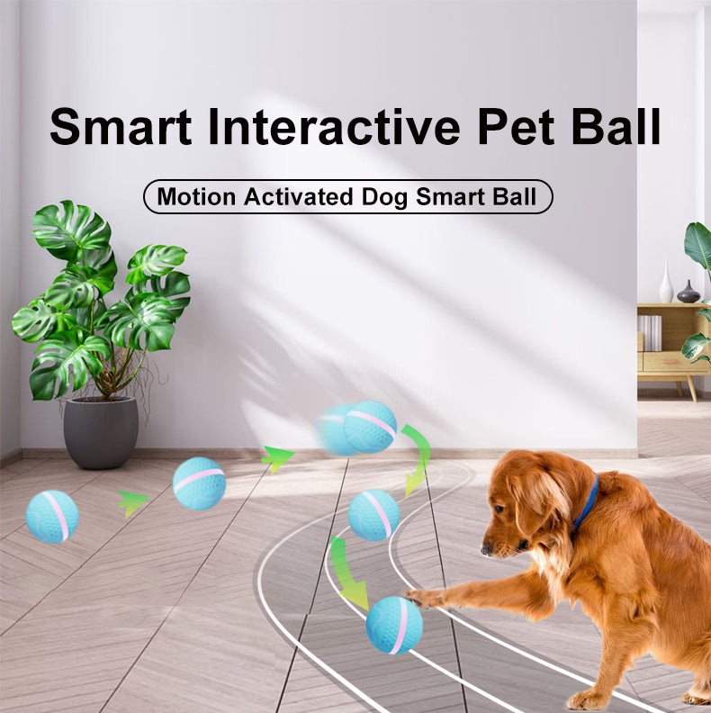 Pet Electric Dog Ball
