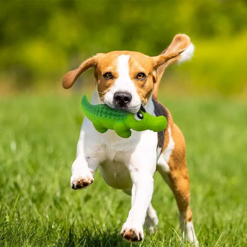 PROKEl Latex Alligator Pet Dog Toy