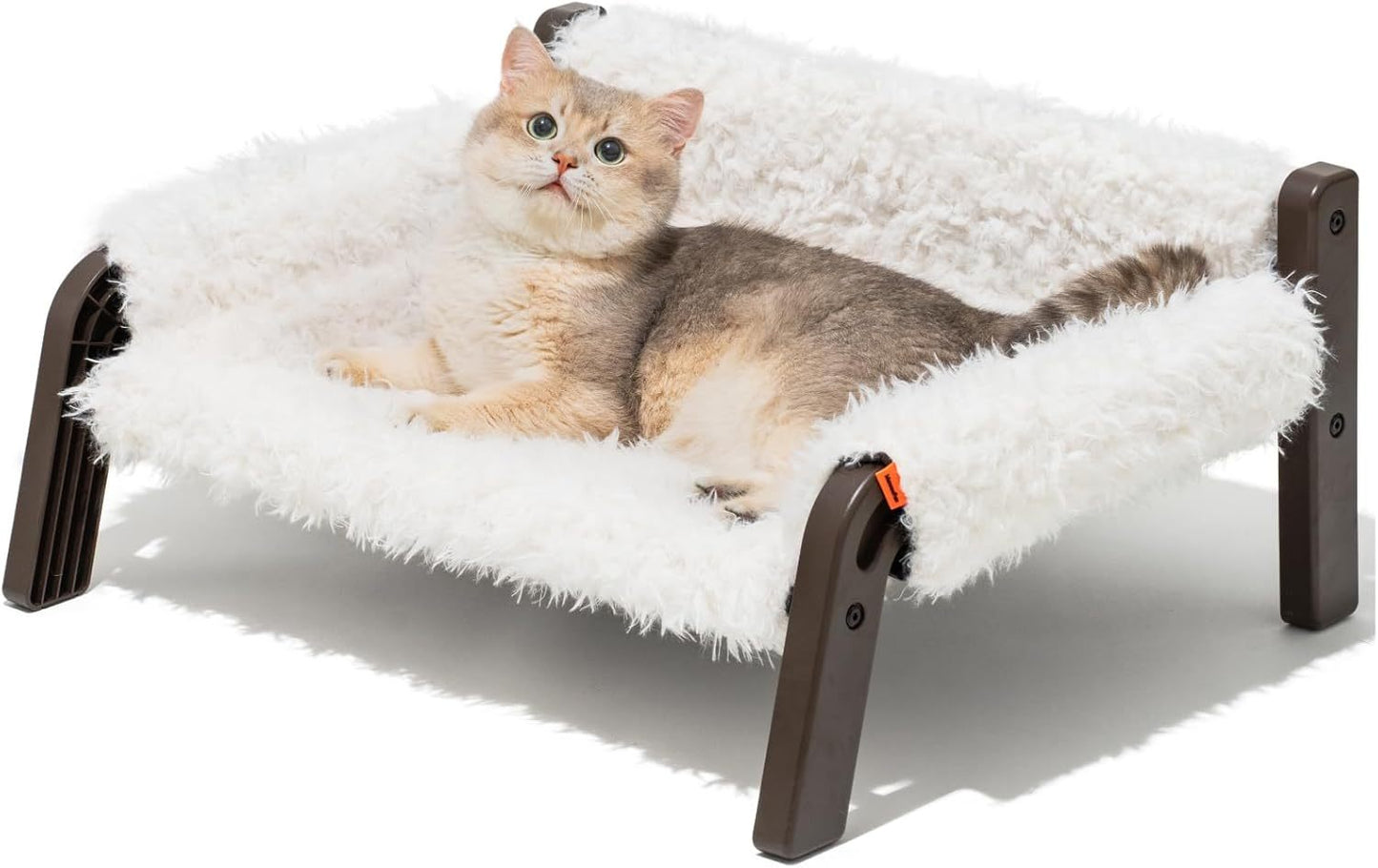 Raised Cat Bed For Indoor Cats