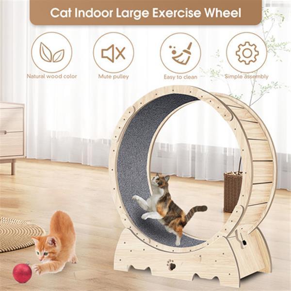 Indoor Cat Sports Wheel