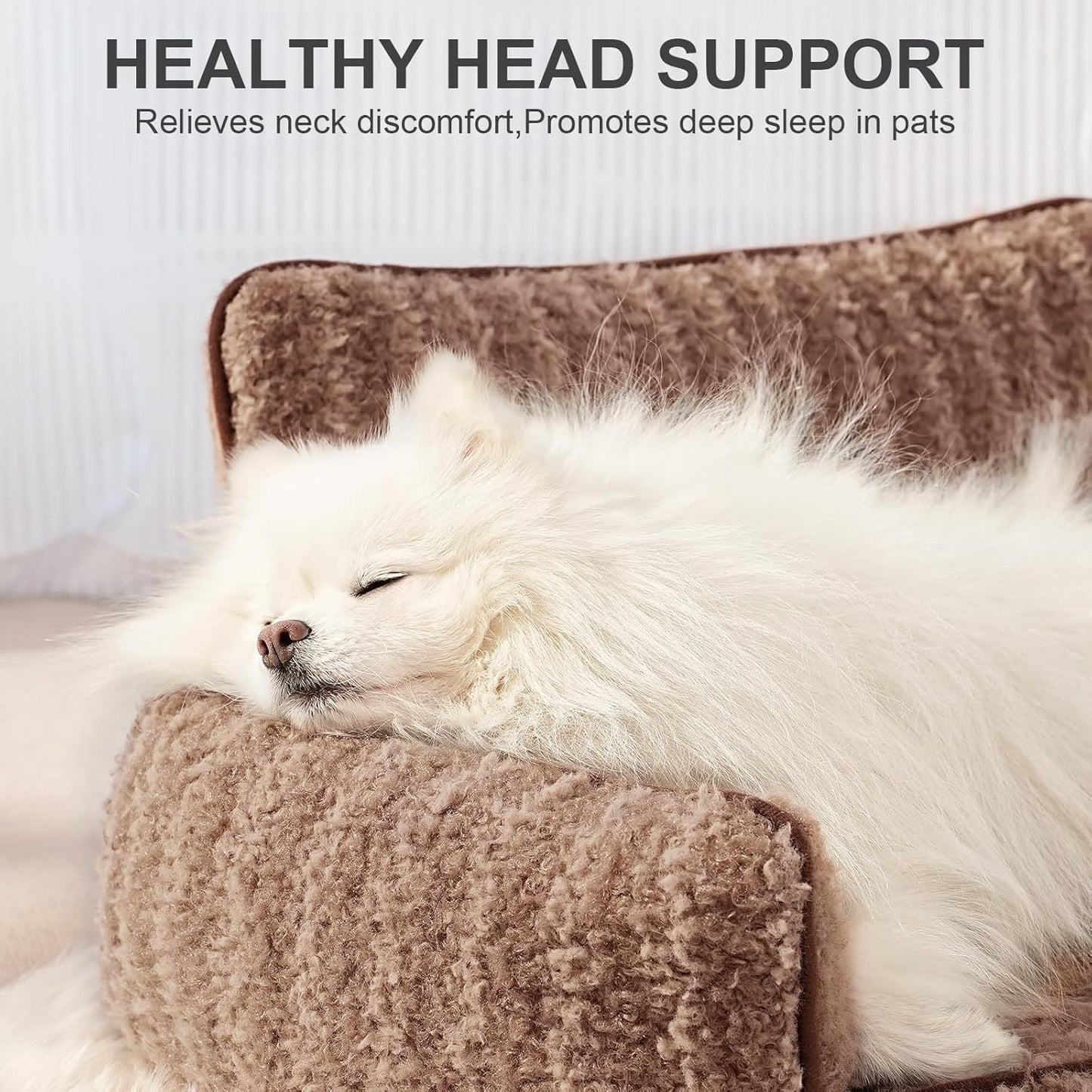Orthopedic Cat Couch For Indoor Cats & Dog