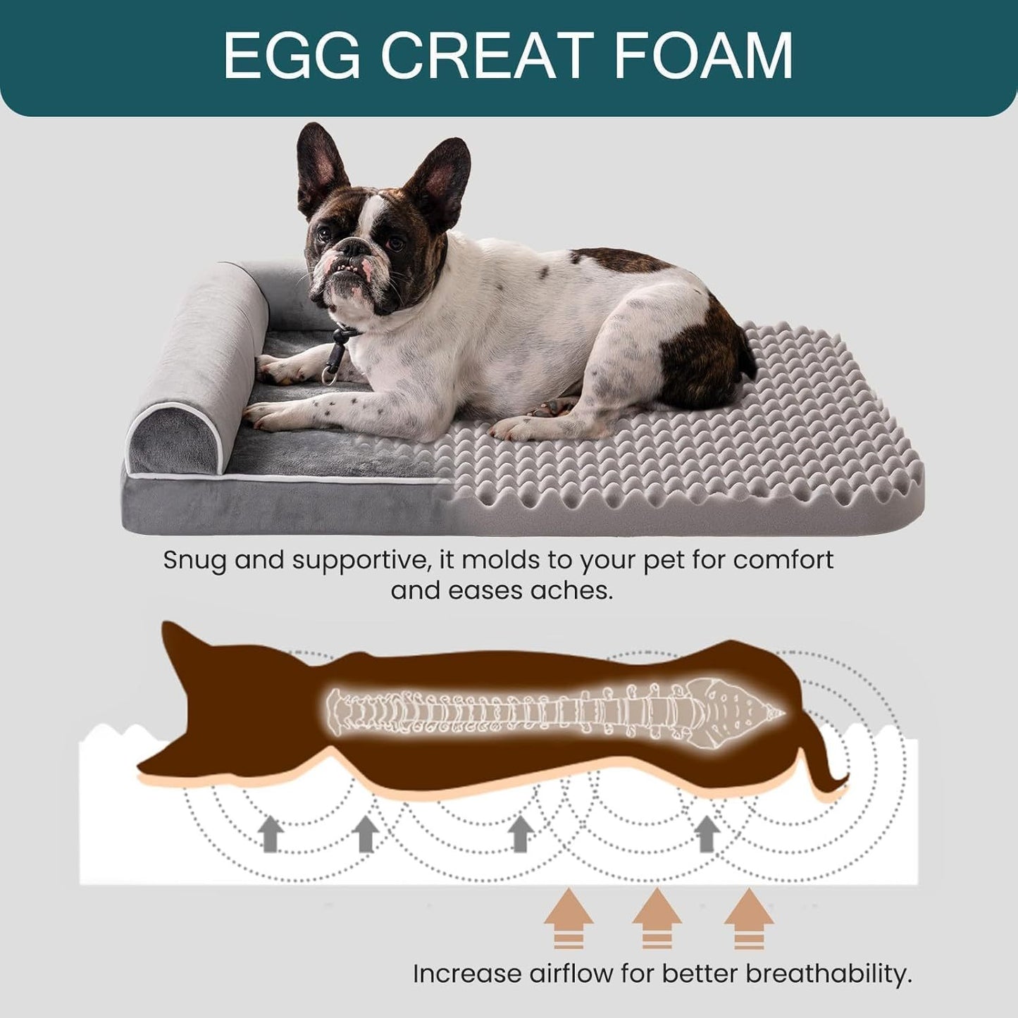 MEWOOFUN Orthopedic Dog Bed for Medium & Large Dogs, 40"x30", Waterproof Cover