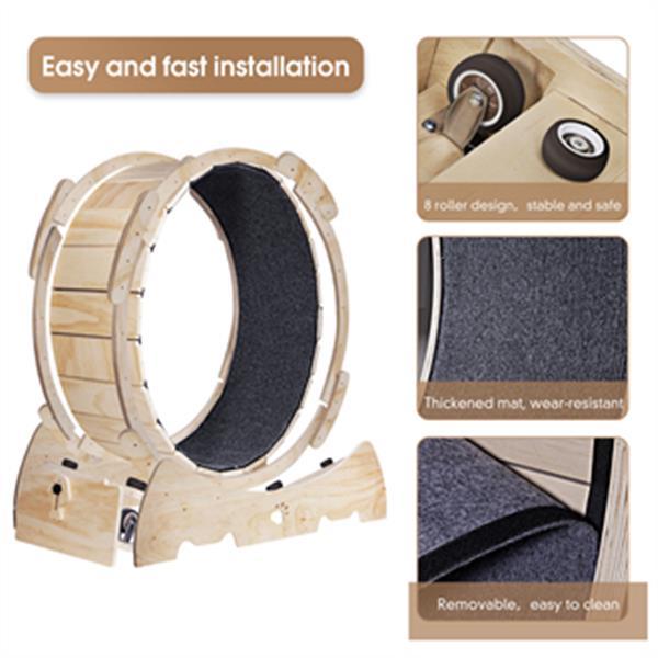 Indoor Cat Sports Wheel