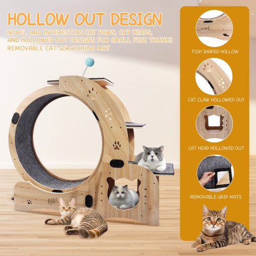 Cat Fitness Wheel