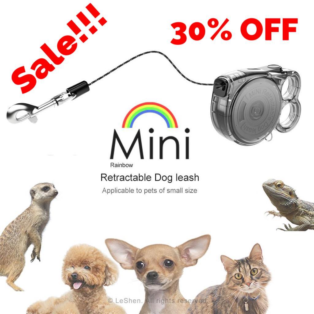 Compact Retractable Leash for Small Pets – Ideal for Outdoors