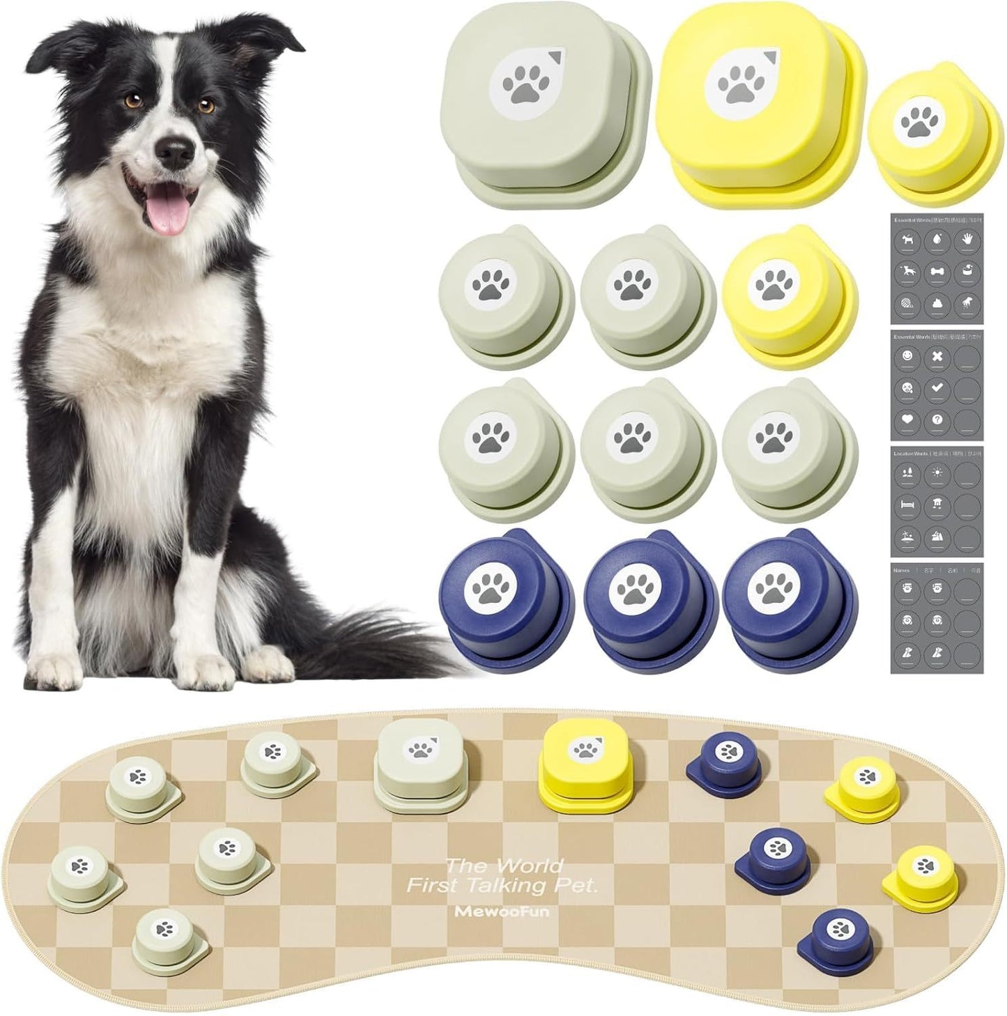 12-Pack Rechargeable Talking Buttons with Mat – Pet Communication Kit