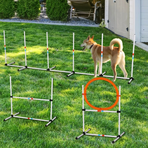 3PC Dog Agility Training Set – Obstacle Course for Dogs