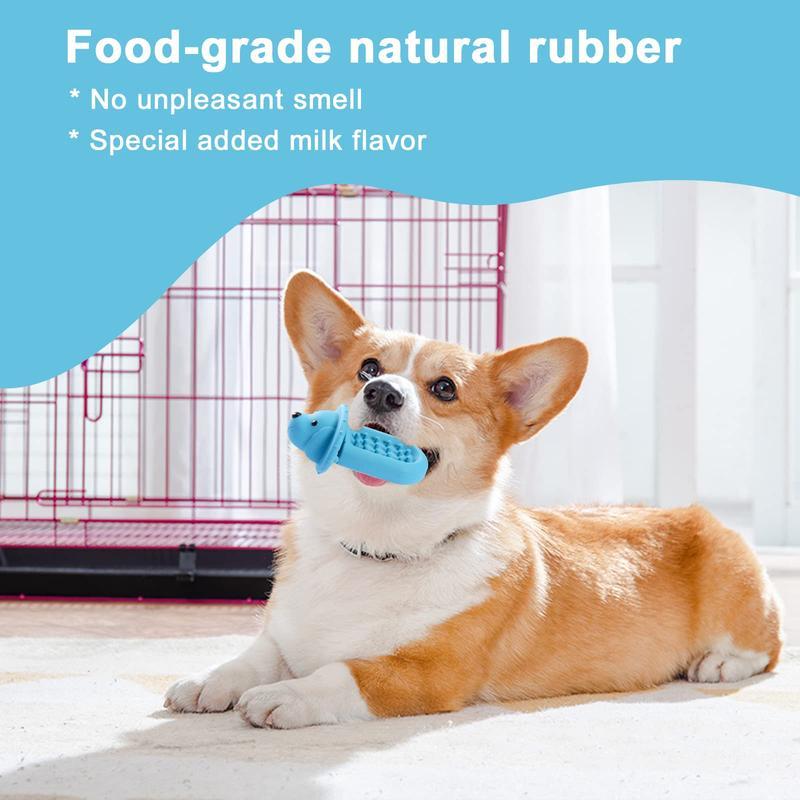 Keep Your Dog Engaged & Relaxed