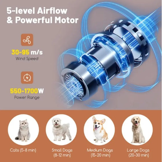 Dog & Cat Hair Blower with Negative Ion & Adjustable Temperature