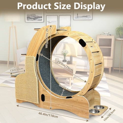 5-in-1 Cat Sports Running Wheel