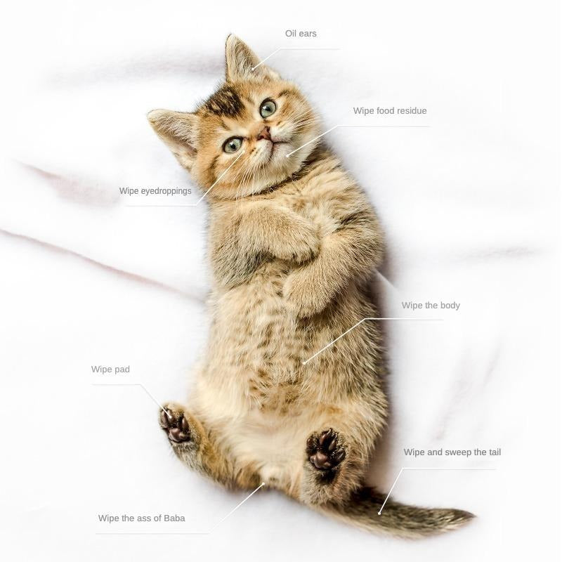 PET Cleaning & Deodorizing Bathing Wipes – For Dogs & Cats