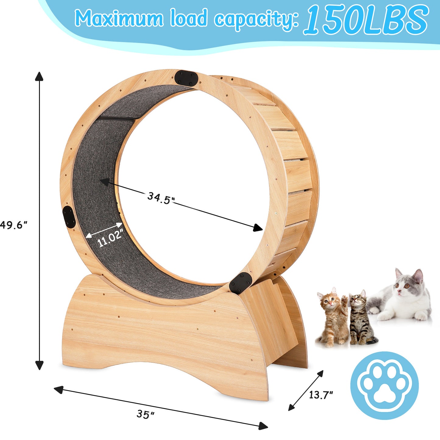Cat Gym Wheels