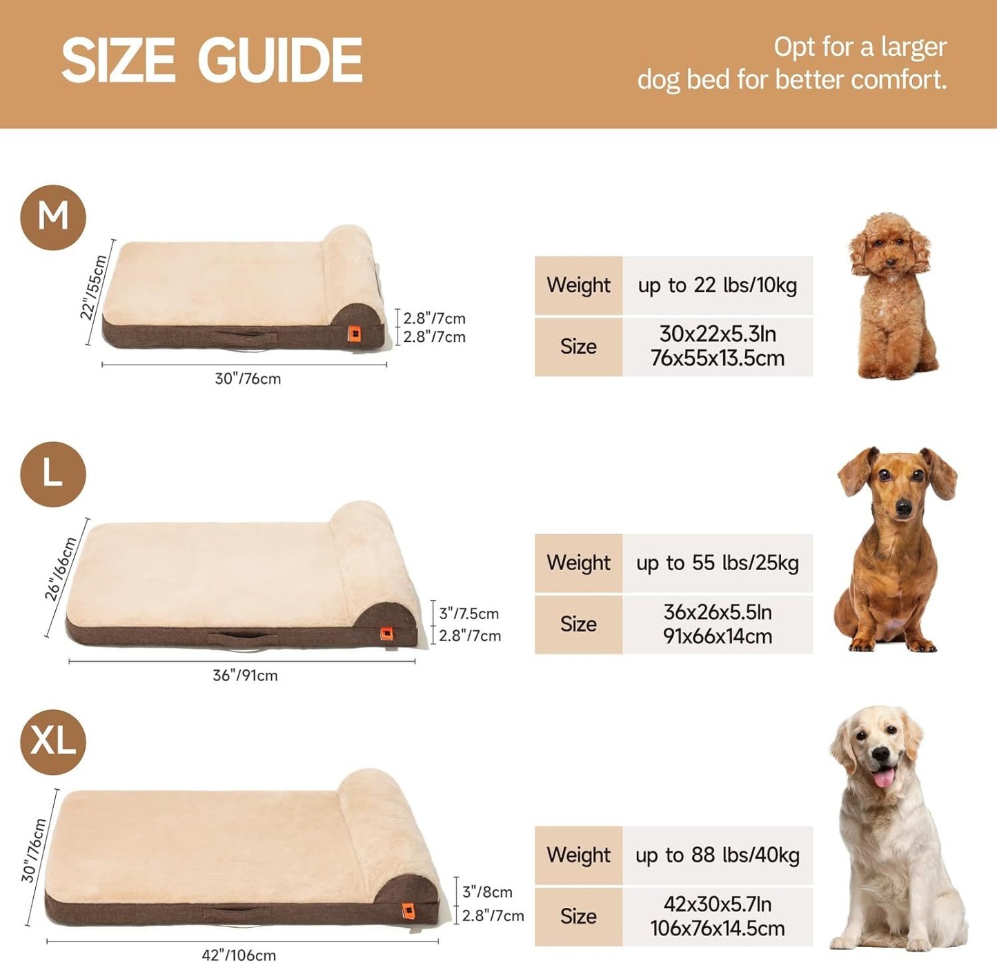 Orthopedic Dog Bed For Medium Dogs