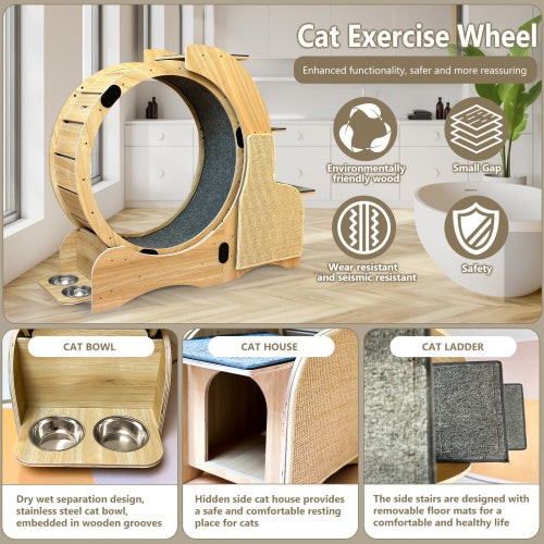 5-in-1 Cat Sports Running Wheel