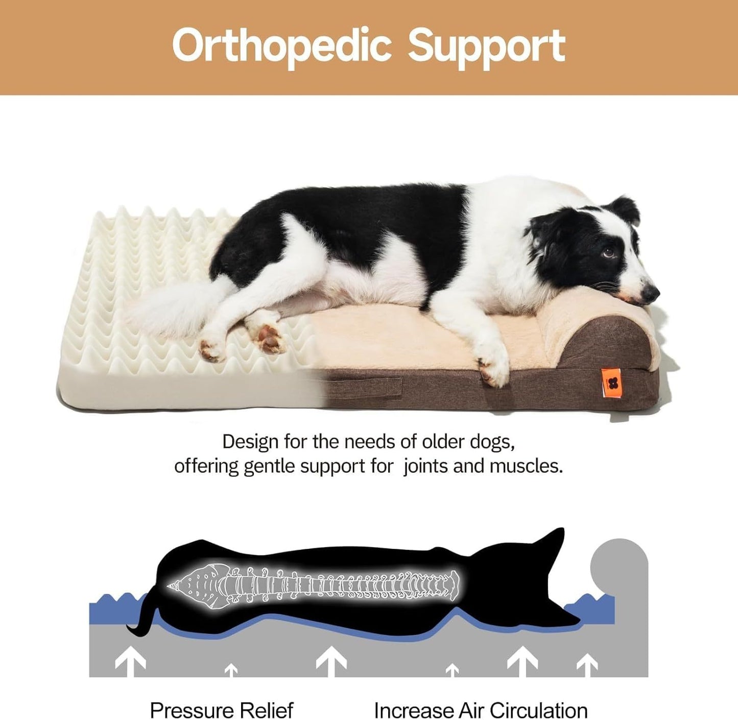 Orthopedic Dog Bed For Medium Dogs