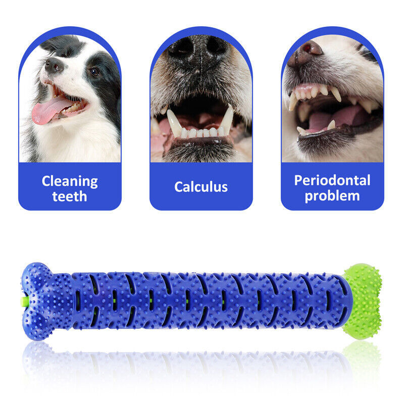 Dog Toothbrush TPR Chew Toy – Durable Molar Brushing Stick for Teeth Cleaning