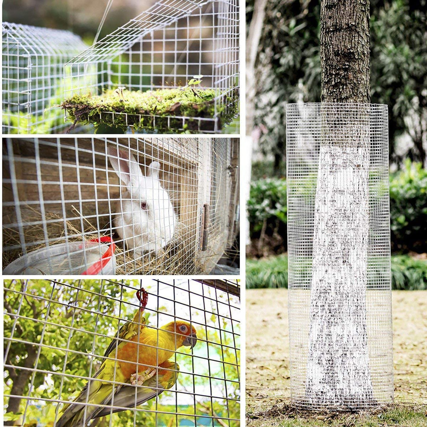 Welded Chicken Wire Mesh Fence Roll – Durable Metal