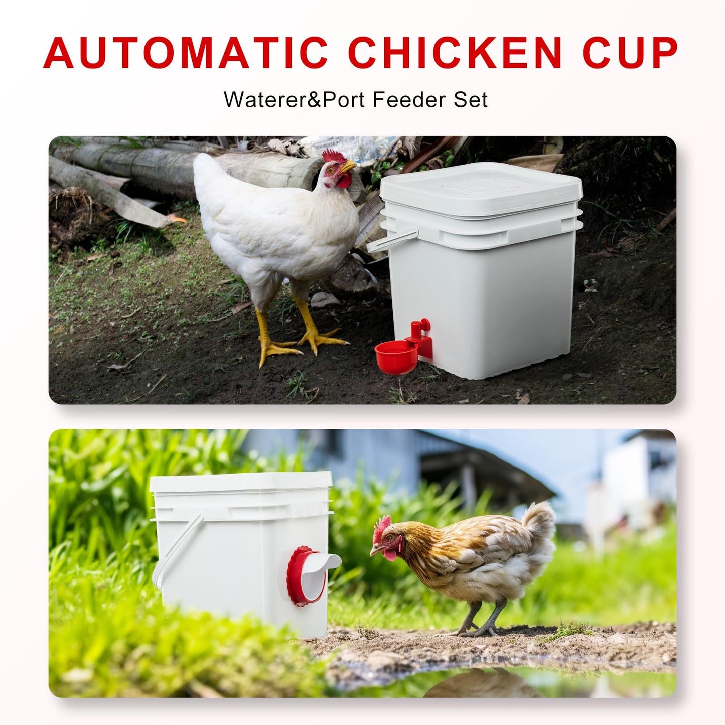 Automatic 6pcs Chicken Feeders & Waterers Set – Rainproof Poultry Kit