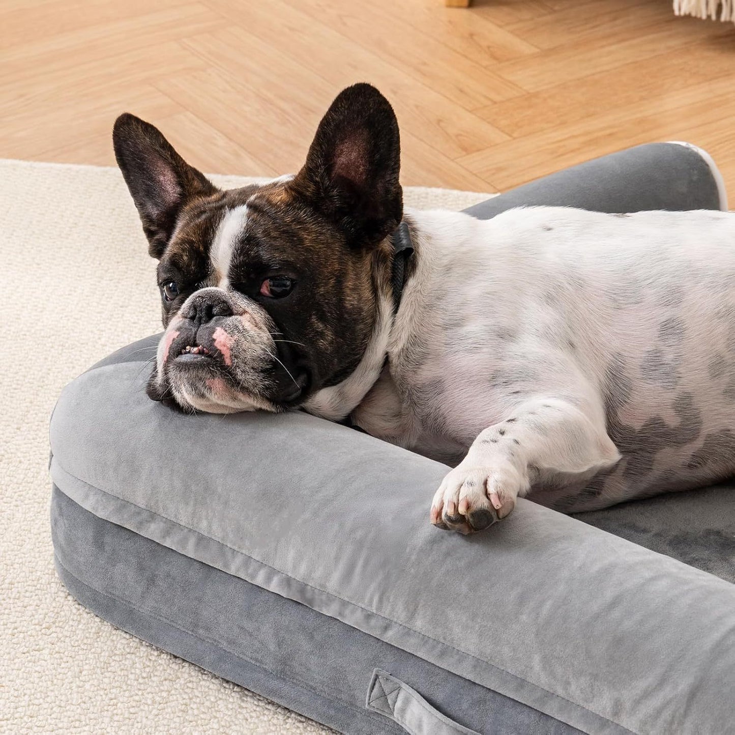 MEWOOFUN Orthopedic Dog Bed for Medium & Large Dogs, 40"x30", Waterproof Cover