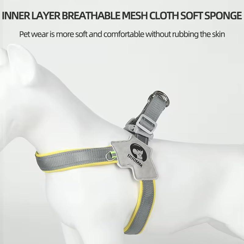 Adjustable Pet Harness & Leash Set – No-Pull, Reflective