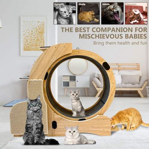 5-in-1 Cat Sports Running Wheel