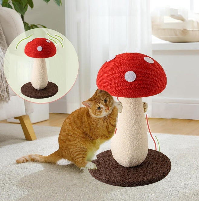 Cat Scratching Board With Ball Toy For Indoor Cats To Play