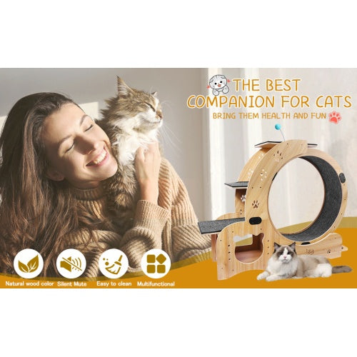 Cat Fitness Wheel