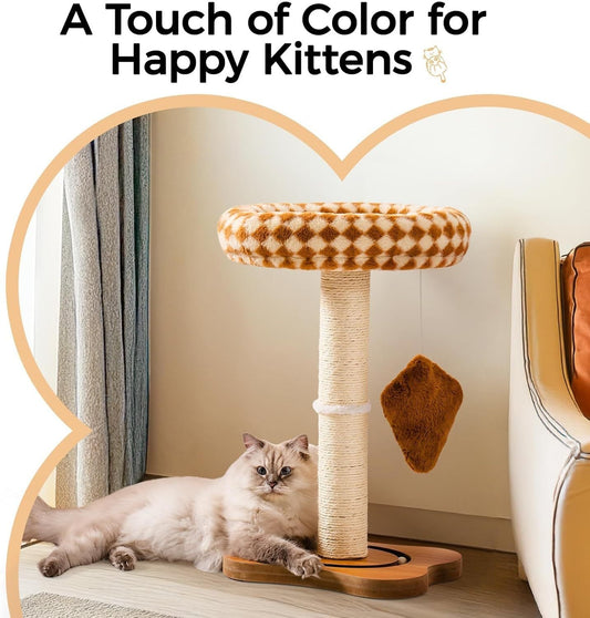 Cat Essentials: What You Actually Need (and What You Don’t)