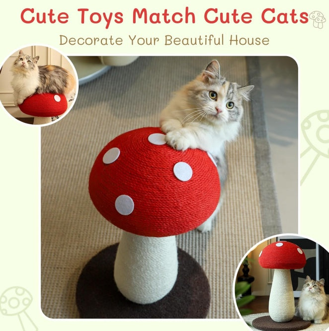 Cat Scratching Board With Ball Toy For Indoor Cats To Play