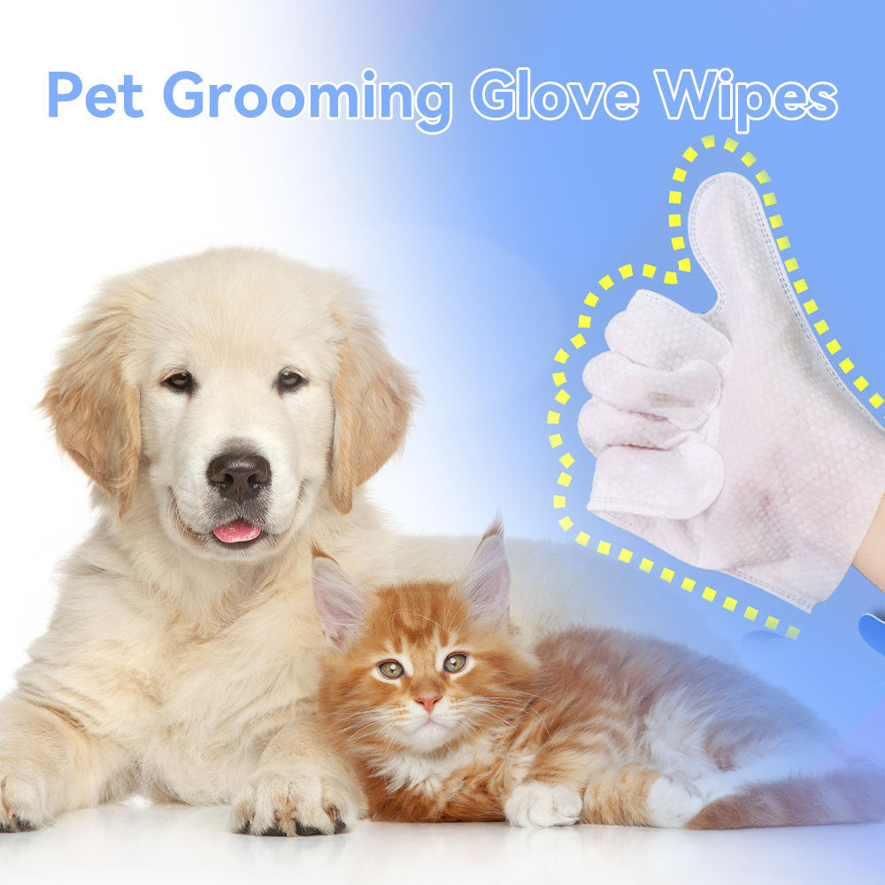 Pet Cleaning Gloves Wipes for Dogs & Cats – 6PCS Daily Care Wipes