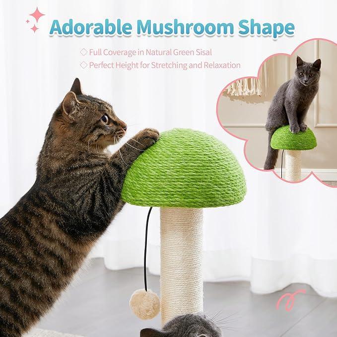 2-in-1 Wooden Cat Scratching Post & Interactive Ball Track