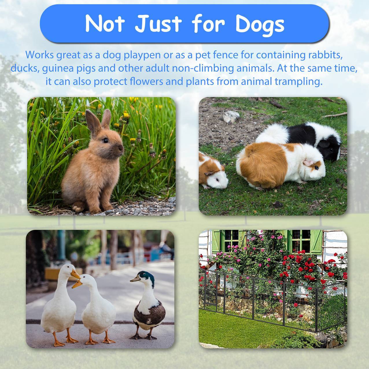 Dog Playpen | Outdoor Dog Fence & Kennel for Large Dogs