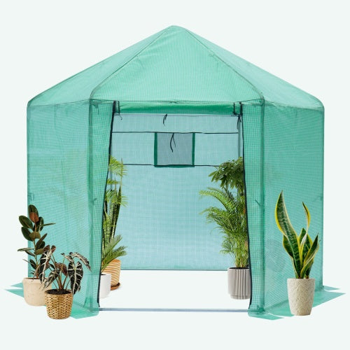 Walk-In Hexagonal Greenhouse