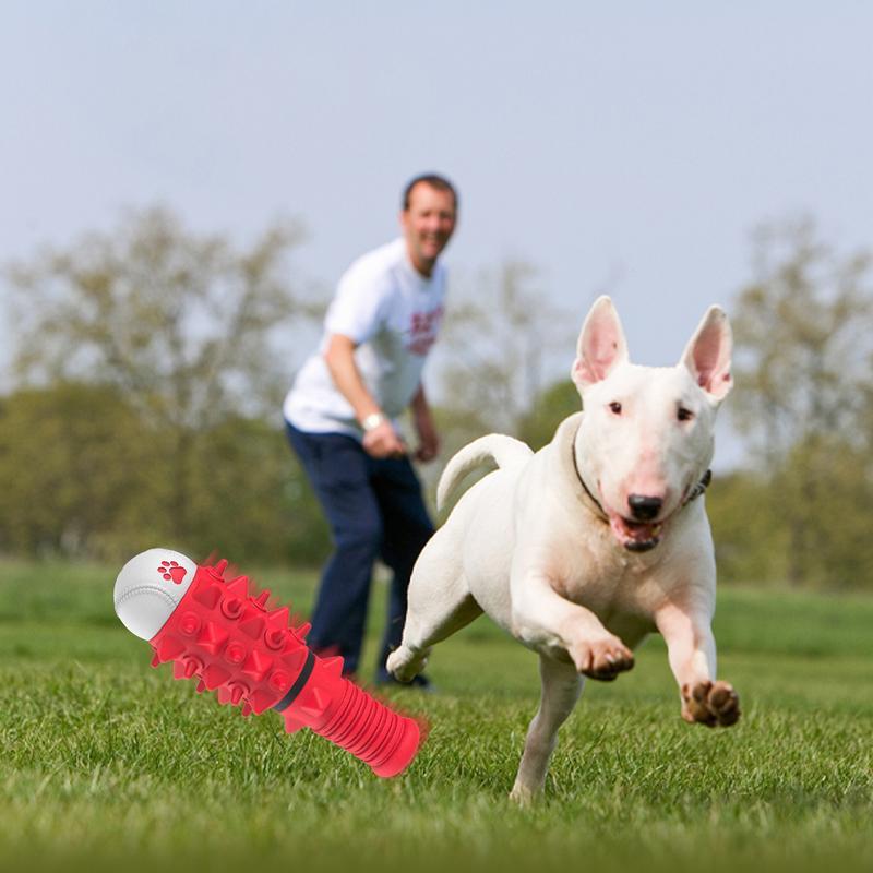 PROKE Dog Squeaky Toy
