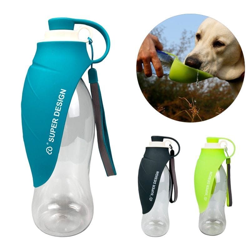 Pet Water Bottle Leaf Design