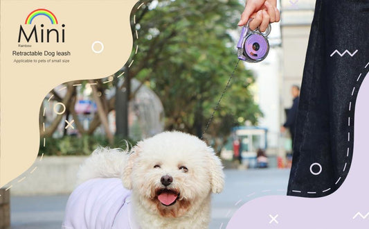 Compact Retractable Leash for Small Pets – Ideal for Outdoors