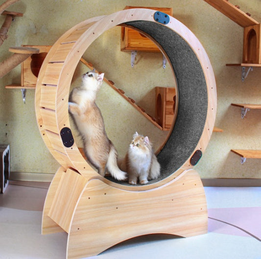 Cat Gym Wheels