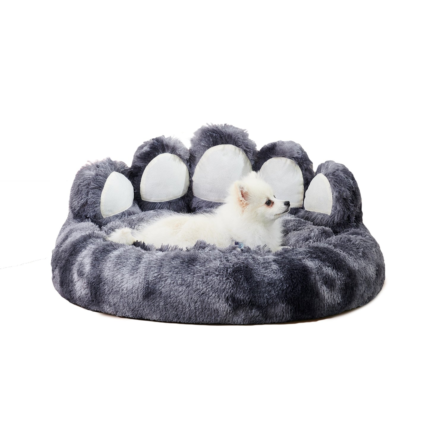 Bear Paw Dog Bed – Cozy Plush Bed for Small & Medium Dogs